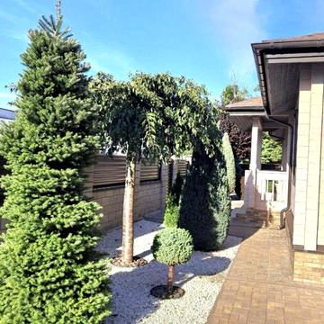 уютный одноэтажный домик в пос. Тартус, направление Котовского-Лески