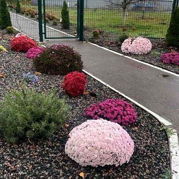 Оренда двокімнатної квартири 304 квартал