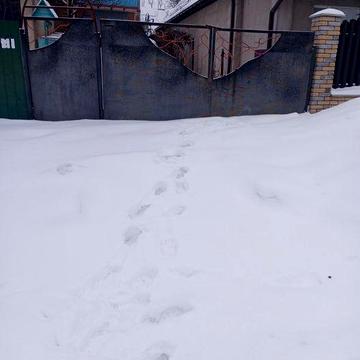 Продам будинок в м.Гайсин