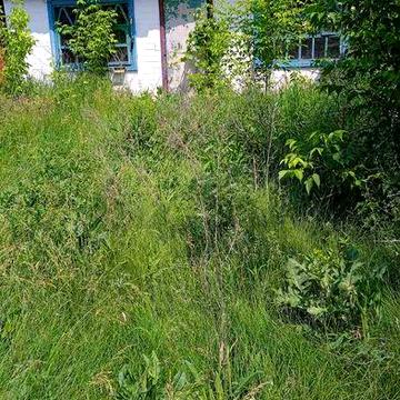 продам будинок в селі. Сертифікат