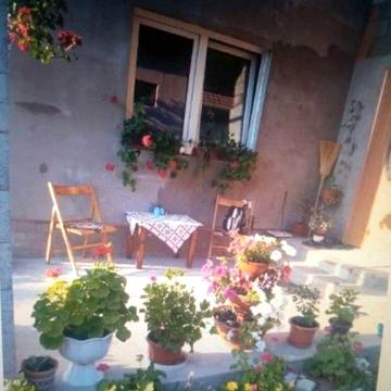 Продам будинок в селі Косонь