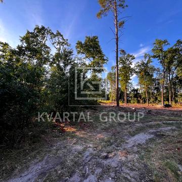 Ворзель, Бучанський, Київська область 78000.0 USD