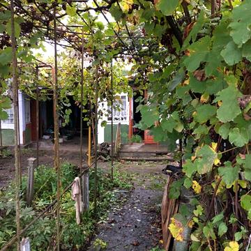 Андрія Воронецького, 6