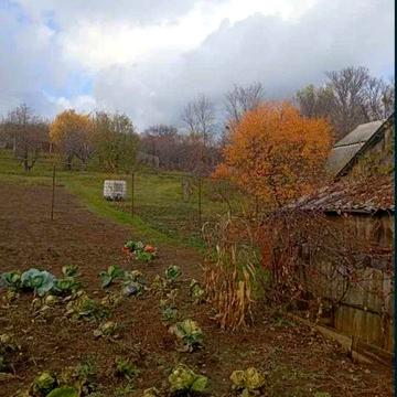 Продам дом в смт Буди. 25 сот земли Газовое отопление .Тихия район TB