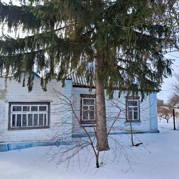 Будинок у мальовничому селі