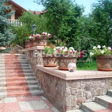 Продаж будинку Великі Дмитровичі, Обухівський район, 1га, без %