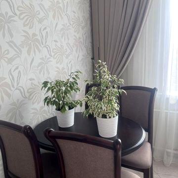 Здам 2к Вишенька. Євроремонт