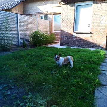 Я хозяїн. Частина котеджу 2 кімнати парк Енергетиків часть дома