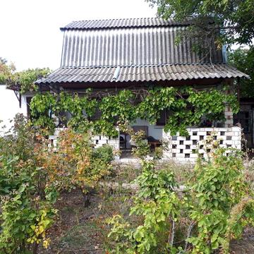 Продається дачна ділянка