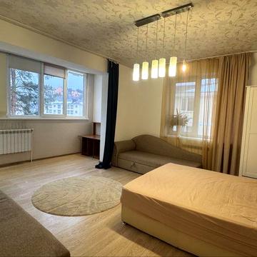 Оренда 1к квартири біля Центрального парку