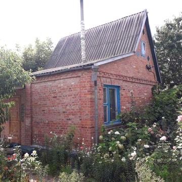 Дачка невеличка але вся в трояндах . Массив біля лісу та річки Рось