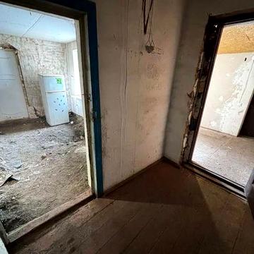 Власник С Треповка