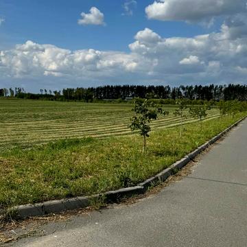 Бузова, Бучанський, Київська область 1000.0 USD