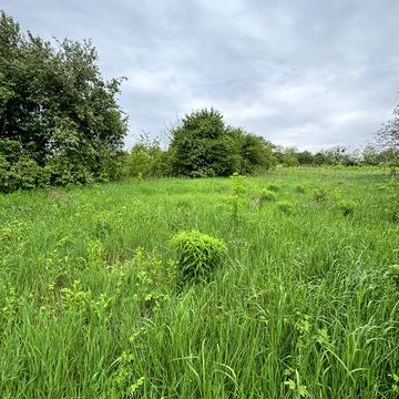 Продаж будинку у селі Музичі Київської області