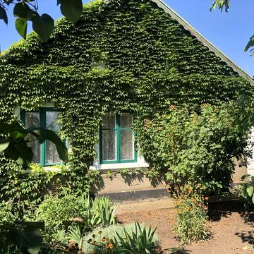 Добротный дом на  33 сот!Ст.Карпово ч/з 2 ч электричка 36 км к Одессе