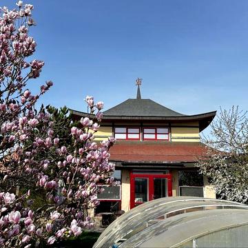 Будинок в Дніпрі з басейном та сауною, біля річки