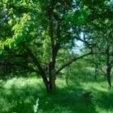 Литературная, 152