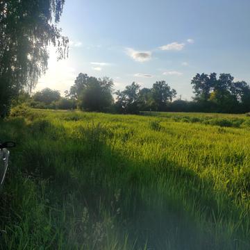 Деревянка, 8