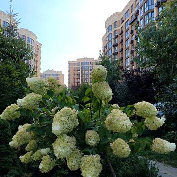 ‼️ 2к квартира ЄОСЕЛЯ ‼️ Софія Резиденс державні програми ЖК Софія Резиденс