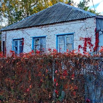 Продам будинок в пригороді м Златопіль,село Олексіївка
