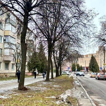 Здам 2 кім. квартиру Центр