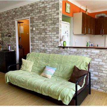 Оренда на короткий термін 1-2 місяця в центрі міста київська