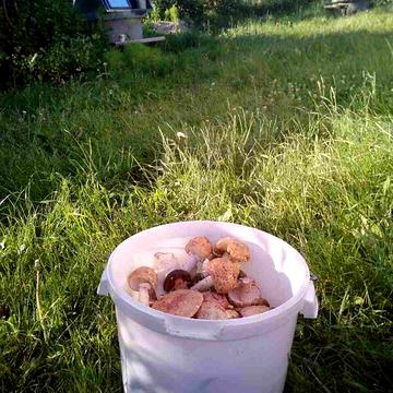 Продаж 2к Дім вулиця Лесі Українки