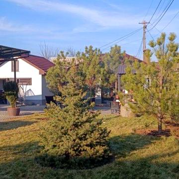 Дом шале , Ермолаевка , СТ «строитель»