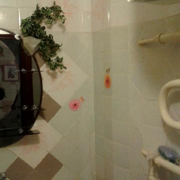 Петра Болбочана вул. (Клапцова), 3