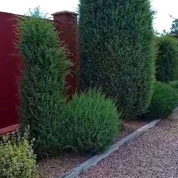 Продам будинок зі зручностями і сауною