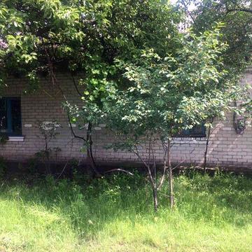 Продам будинок в Н. Рафалівці