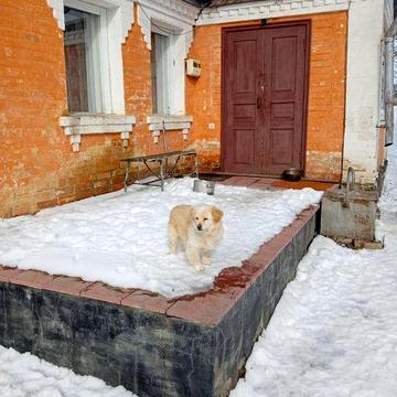 Здам будинок Гродзево