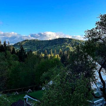 Земля з будинками в Карпатах Готовий бізнес / еко-комплекс в горах.