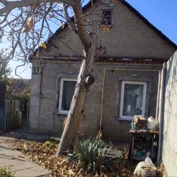 Здам дім на студентській