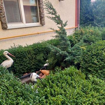 Довгострокова оренда 1к Квартира Центральна (Петровського) вулиця