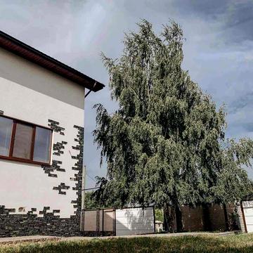 Сдам дом в с.Дорогое — уютный вариант для жизни и отдыха.