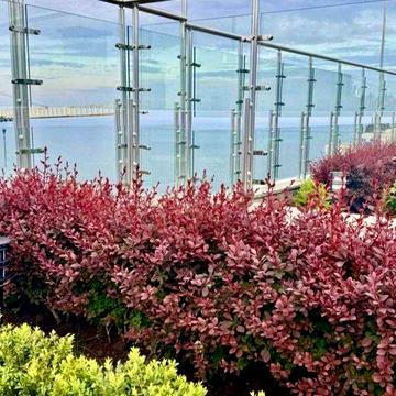 СДАМ От МЕСЯЦА до ГОДА‼️ЖК АТМОСФЕРА/Аркадия‼️10эт Евро-Двушка.Балкон