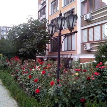 Квартира в Академгородке,парк Победы