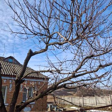 Будинок с. Шевченкове Кіровоградський район