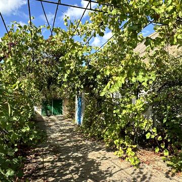 Власник! Продаж будинку 70 км від Одеси: 20 сот., сад,, вихід до води