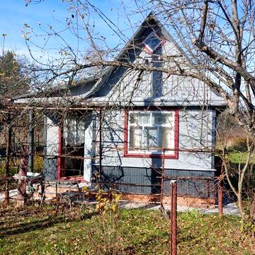 Чудова дача в Тетерівському масиві