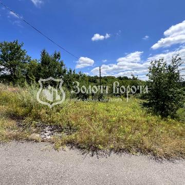 Капустяна, 1