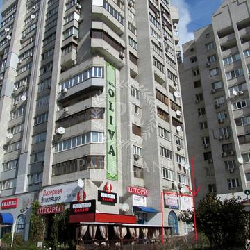 Княжий Затон вул., 14