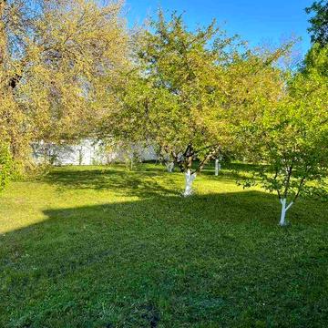 Продам дачу з великою земельною ділянкою