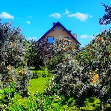 Продам будинок в Плесецькому.  162м.кв.