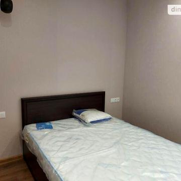 Довгострокова оренда 1к Квартира Панаса Мирного вулиця