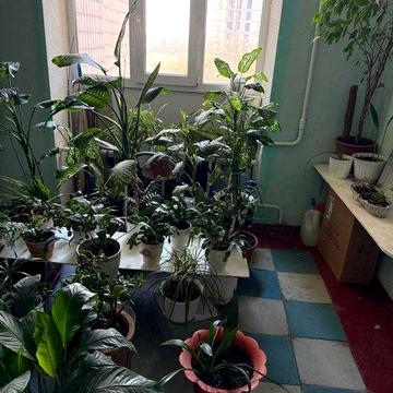 Сдається квартира метро Деміївска