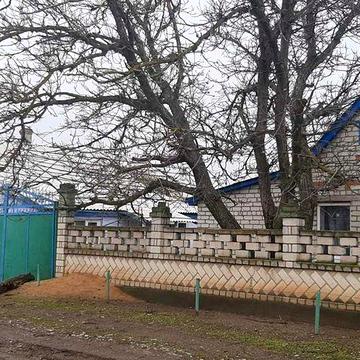 Дім з ділянкою та ін.