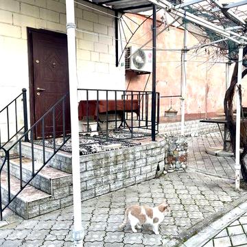 Квартира с отдельным входом и двором на пр. Мира