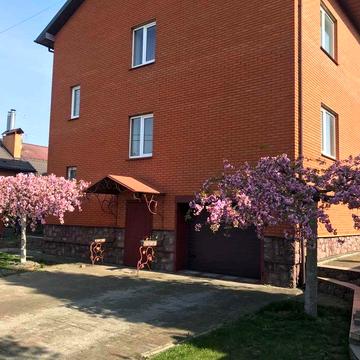 Оренда будинку на С. Борщагівці